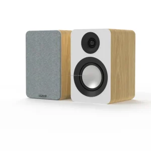Modern Design 60W Wooden Bookshelf Speakers Strong DC Home Theater BT Coaxial ARC RCA Connections Factory Leading for Computer