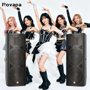 Multi Purpose Hall Event Center Professional PA Speaker System 15 Inch 600W Passive 2 Way Speaker 4 Ohm 98dB 127dB SPL 80×50