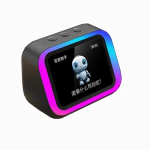 Multi function Professional Comfortable 2000mAh Large Battery Speaker Portable Voice Assistant Smart Speaker