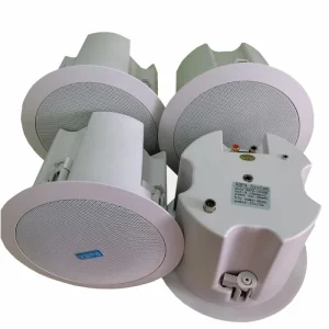 Multi room Background Music Player Supports Mobile Phone APP Control to Play Music System Ceiling Speaker