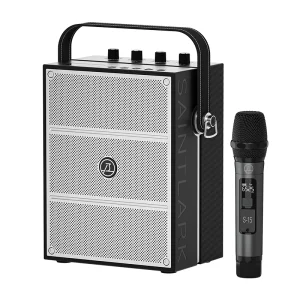 Multifunction Professional Wireless Speaker With Karaoke Microphone For Home KTV Meeting