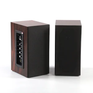 Multimedia Bookshelf Classroom Audio Teaching Loudspeaker Active Pair Speaker