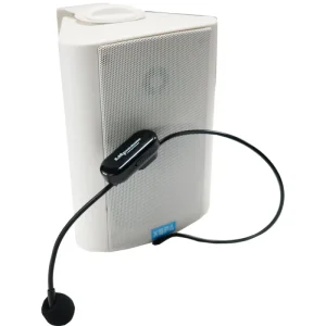 Multimedia Teaching Wall mounted Speaker Wireless Microphone Built in IP Memory Card Woofer RGB LED Lighting for Music Lecture