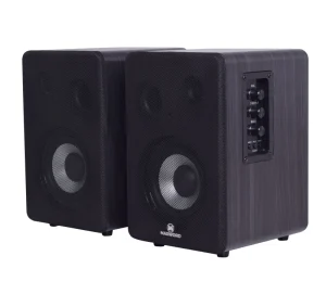 Multiple Function Studio Bookshelf Speaker With BT USB & EQ