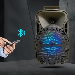 Music Box Big Blue Tooth 8inch Handle Speaker Stage Party Box Professional with Karaoke Speakers Subwoofer