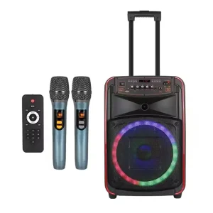 N 625 Rechargeable Speaker 12 Inch RGB Dancing Gamer LED Light Bluetooth Speaker for Outdoor