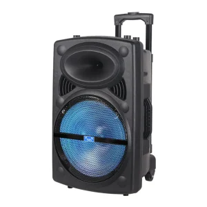 NDR-12 Altavoz De Karaoke Bafle Bluetooth Haut Parleur Avec Micro Outdoor DJ Party 12 Inch Karaoke Speaker with Mic and Bluetooth