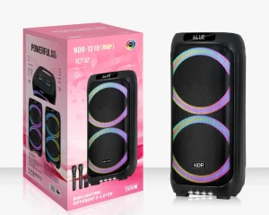 NDR 1310 DSP 8″ Woofer 2.0 Channel Professional Outdoor Wireless Stage Speaker Dual Microphone RGB LED Lighting Audio Player