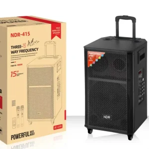 NDR 415 Double 15 Inch 12V12A 100W Trolley Speaker for Outdoor Party Home Karaoke Support USB TWS Wireless Contact