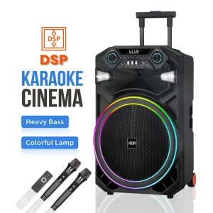 NDR-802 NDR-805 DSP Plan 60W 15″ 12” Multifunction Rechargeable Portable Trolley Speaker with USB