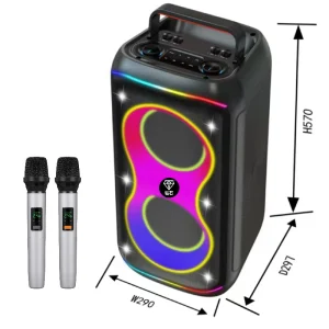 New Arrival Double 6.5” Competitive Outdoor Portable Active Bass Music Speakers Party Speakers Wireless Speaker