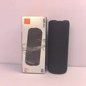 New Arrival Global Version Waterproof Outdoor Portable Speaker with RGB Lighting and 10W Output