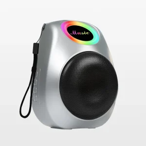 New Design Model WR618 High Power Portable Speakers Wireless Speaker