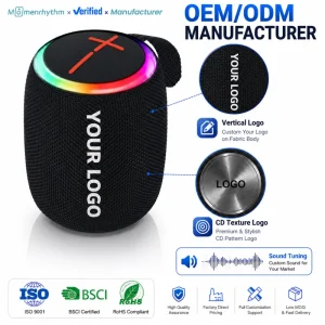 New Design Wild Mini 5.0 Big Wireless Audio System Sound Small ABS Amplifier Portable Speaker with Radio