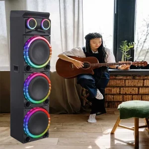New Hot Sales 10 Inch Party Speakers Karaoke Portable Speakers & Accessories DJ Speaker With Led Light