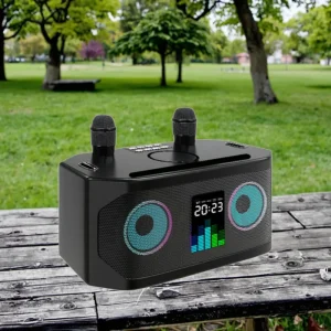 New Model Wireless Microphone Wireless Charging 40W RGB LED Woofer for V5.3 IPX7 Waterproof 2 Microphones Karaoke Outdoor