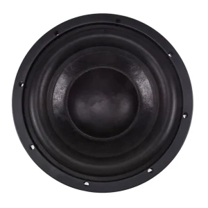 New Trend Product High Temp 10 Inch Subwoofer Car Audio Subwoofer for Car