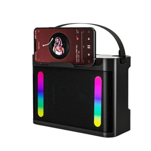 ODM OEM Plastic Outdoor Karaoke Party Home Single Color Lights TF Card Battery Portable 10W 2 Microphone A927 Wireless