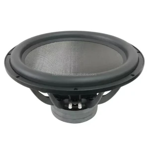 OEM 18 Inch Woofer Driver Home Speaker with 2000WRMS Big Power Wireless Audio Subwoofer Waterproof for Car & Theatre Use