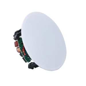 OEM 4 5 6 8 Inch Home Theater 40 60 80W Haut parleur eglise 8ohms Passive Rimless Ceiling Mounted Speaker for BGM School