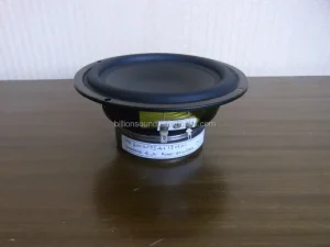 OEM 5.25 Inch Subwoofer Speaker