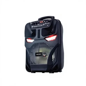 OEM 8-Inch Portable Rechargeable Speaker with 1000-2000mAh Battery USB Power Card Insertion Outdoor Use