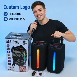 OEM Custom ABS 6205 Portable Outdoor IPX 5 Waterproof Speaker 6.5inch 50 100W Wireless 2 Microphone BT 5.3 Karaoke Home Theatre