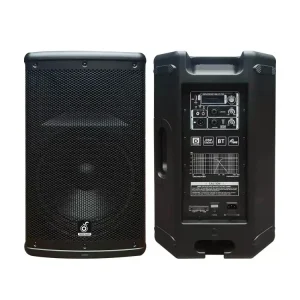 OEM Factory Best Sale Active DJ Powered Speaker 12 Inch Plastic Powerful Active PA Speaker Sound System With DSP and Bluetooth