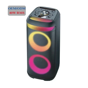 OEM Factory Direct Sales Dual 6.5″ Big Power 40W Bluetooth Party Speaker with USB MIC AUX TF Card FM for Outdoor DJ Use