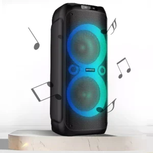 OEM Manufacturer 12 Inch Outdoor Portable Wireless Big Power Rechargeable Dual Woofer BT Trolley Speaker for Party