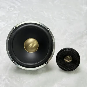 OEM ODM Custom Car Speakers with Logo 2-way Modification Set Tweeter and Bass Speaker Car Horn 6.5inch
