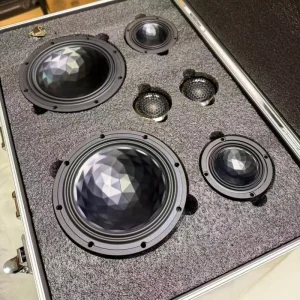 OEM ODM Custom Set Tweeter Speaker for Car Door Speakers