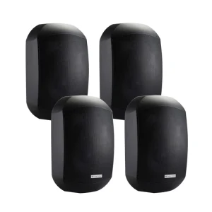 OEM/ODM Waterproof Wall Mount Speaker Outdoor Indoor Optional Weather-proof Indoor Wall Mounted Speakers