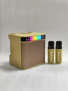 OEM ODM Wireless V5.3 Karaoke System Speaker RGB LED Lights 2 Microphones IPX2 Waterproof for Party Outdoor