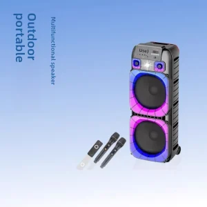OEM Outdoor Portable Speaker 15 Inch Dual Horn High Power Karaoke Square Dance Two Microphones RGB Lithium