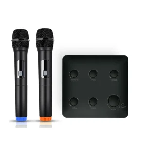 OEM Plastic Wireless Microphone Karaoke Mixer Receiver Smart Home Theater System TV Amplifier Speaker Loudspeaker