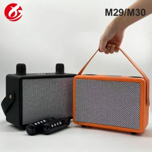 OEM Portable Retro Wooden Bluetooth V5.3 Subwoofer Party DJ Karaoke Speaker 2 Mics IPX2