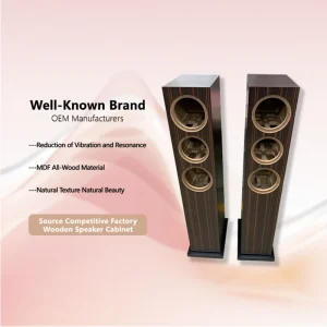 OEM Professional Audio Enclosure Custom Made Wooden Speaker Cabinet with Premium Piano Finish for Hi-Fi Studio Monitor Systems