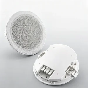 OEM Supported 3 Inch Recessed Ceiling Speaker 6W Constant Voltage PA Speaker for Office Paging