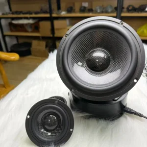 OEMODM Custom 20 Inch Subwoofer Car Speakers Car Speakers Hlk250-x204 Car Mobile Charger Mic Speaker Car Greeting Speaker
