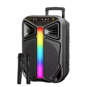 Original Factory Karaoke 15 Inch Trolley Speaker Outdoor Party RGB Light Speaker 2 Wireless Mics Remoter BT Speaker