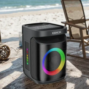 Outdoor 40W Stage Speaker System LED Light USB Communication DC Battery Power Custom Logo for Parties Computers Mobile Phones