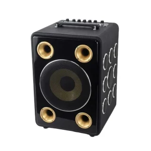Outdoor Party Professional Home Karaoke for Camping Backyard Home Entertainment Portable Bluetooth Speaker Karaoke Machine