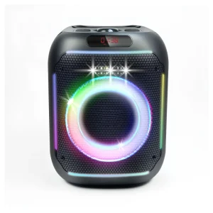 Outdoor Party Speaker Single 6.5inch RGB LED with Microphone Battery Powered AUX for 5.3 30 50W Portable Plastic