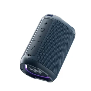 Outdoor Portable 15W Wireless Speaker D110 Waterproof IPX7 with RGB Light and Bass