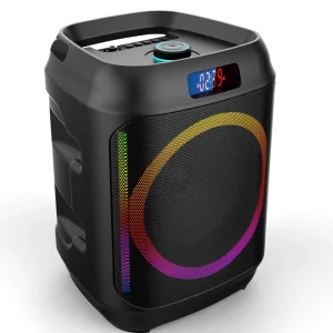 Outdoor RGB Party Speaker Floorstanding High Power USB Portable Built-in Mic Display Screen for Theater Audio