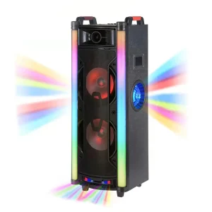 Outdoor Stage Performance Home KTV Karaoke PA Speaker Dual Microphones Wireless Charging Audio DC Power Speaker
