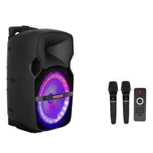 Outdoor Wireless Party Speaker 12inch Mini Rrolley Built-in Microphone Battery Powered RGB LED Plastic 30-50W Remote