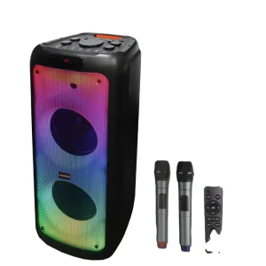 Outdoor Wireless Party Speaker Box PT1000W With 2 Wireless Microphone Dual 10 Inch Subwoofer