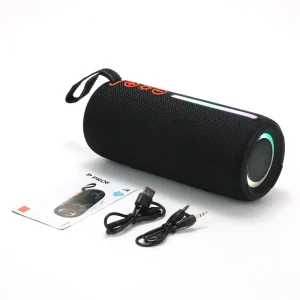 P PRO Series P PRO6 Wireless V5.3 IPX2 Waterproof Built in Battery Portable Outdoor Speaker